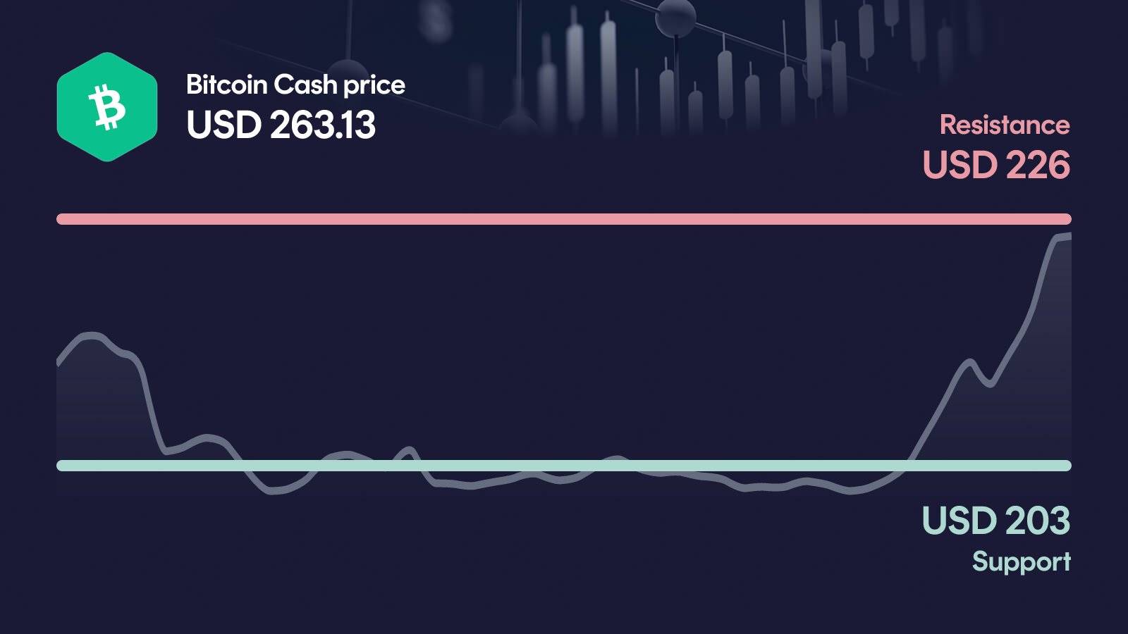 Bitcoin Cash price with support at $203 and resistance at $226
