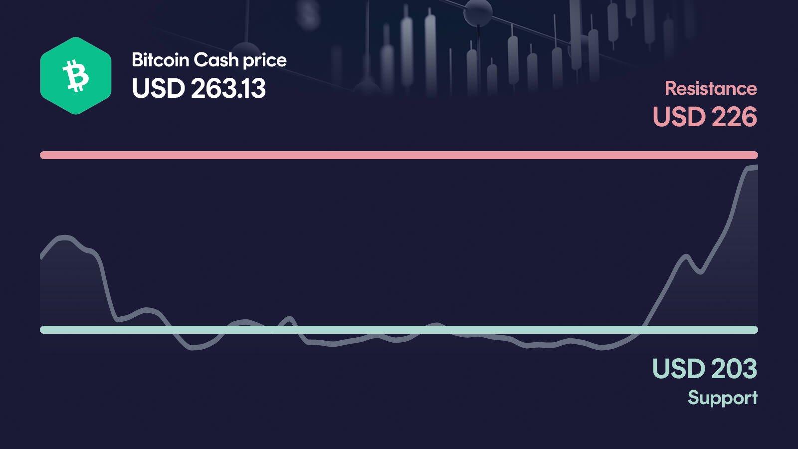 Bitcoin Cash price with support at $203 and resistance at $226