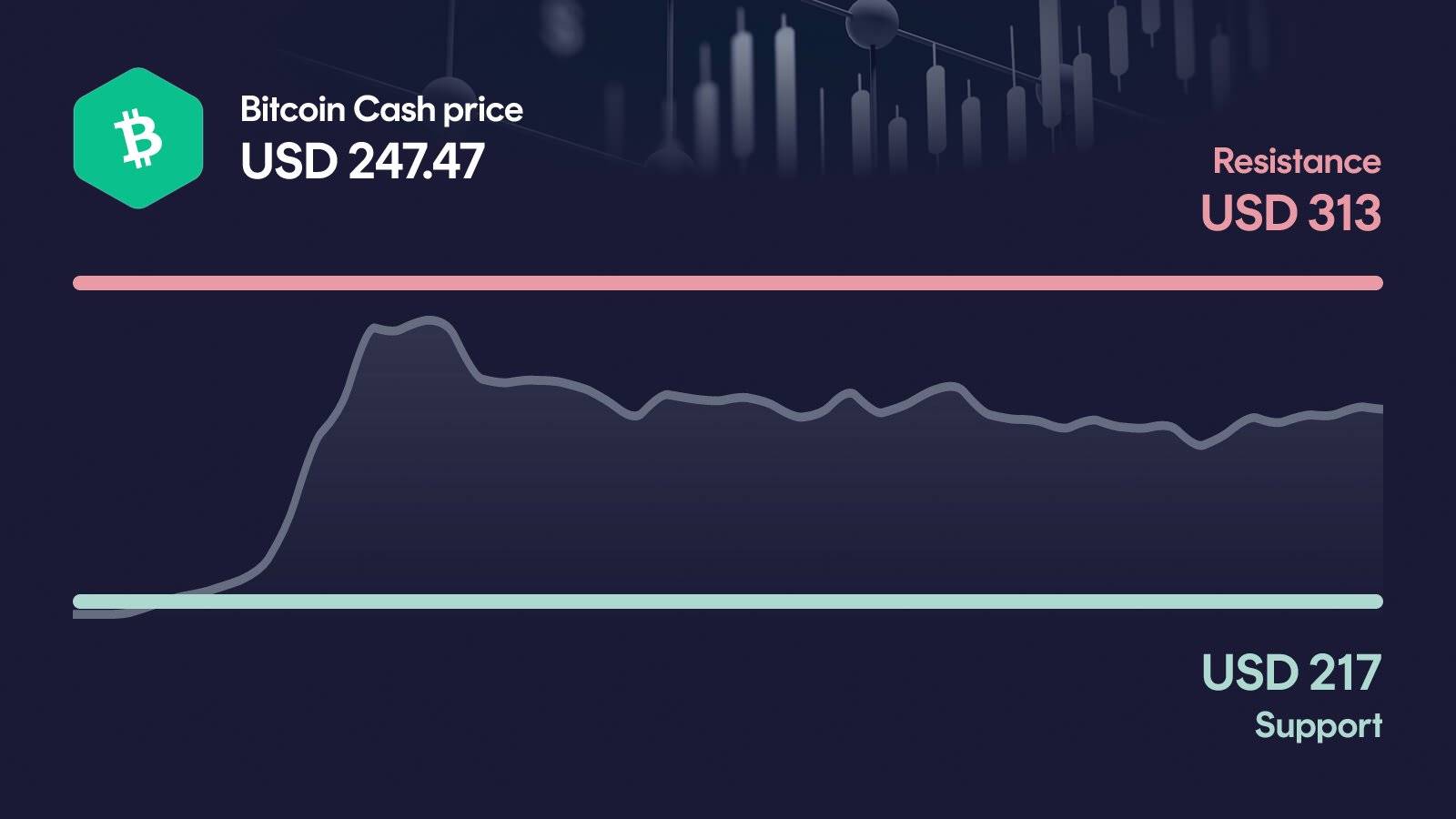 Bitcoin Cash price with support at $217 and resistance at $313