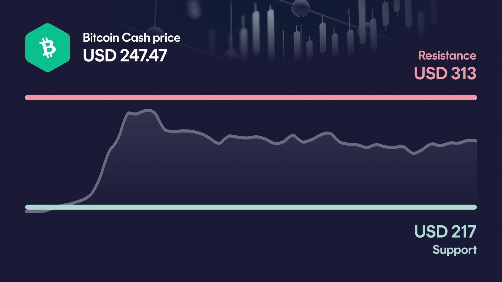 Bitcoin Cash price with support at $217 and resistance at $313