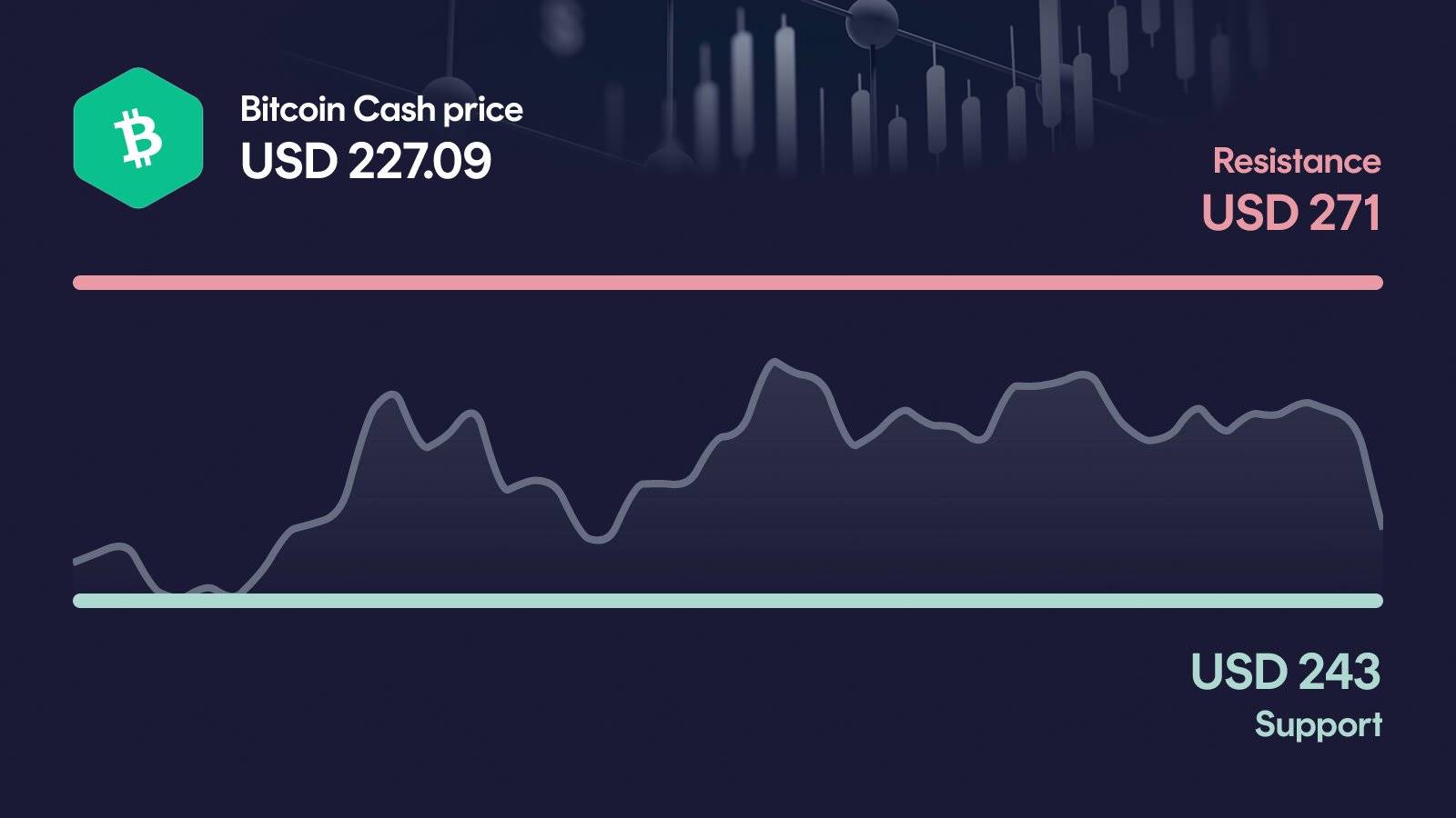 Bitcoin Cash price with support at $228 and resistance at $271