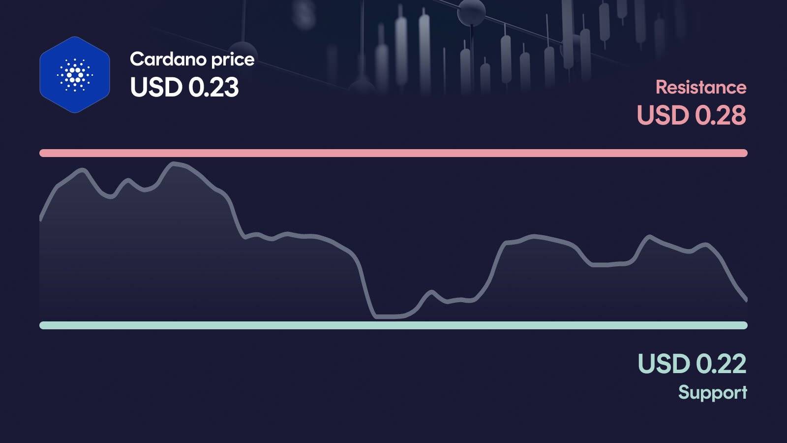 Cardano price with support at $0.224 and resistance at $0.281